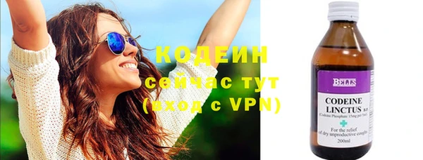 мяу мяу кристалл Няндома