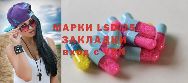 гидра Новодвинск