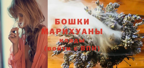 мяу мяу кристалл Няндома