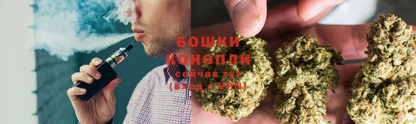 мяу мяу кристалл Няндома